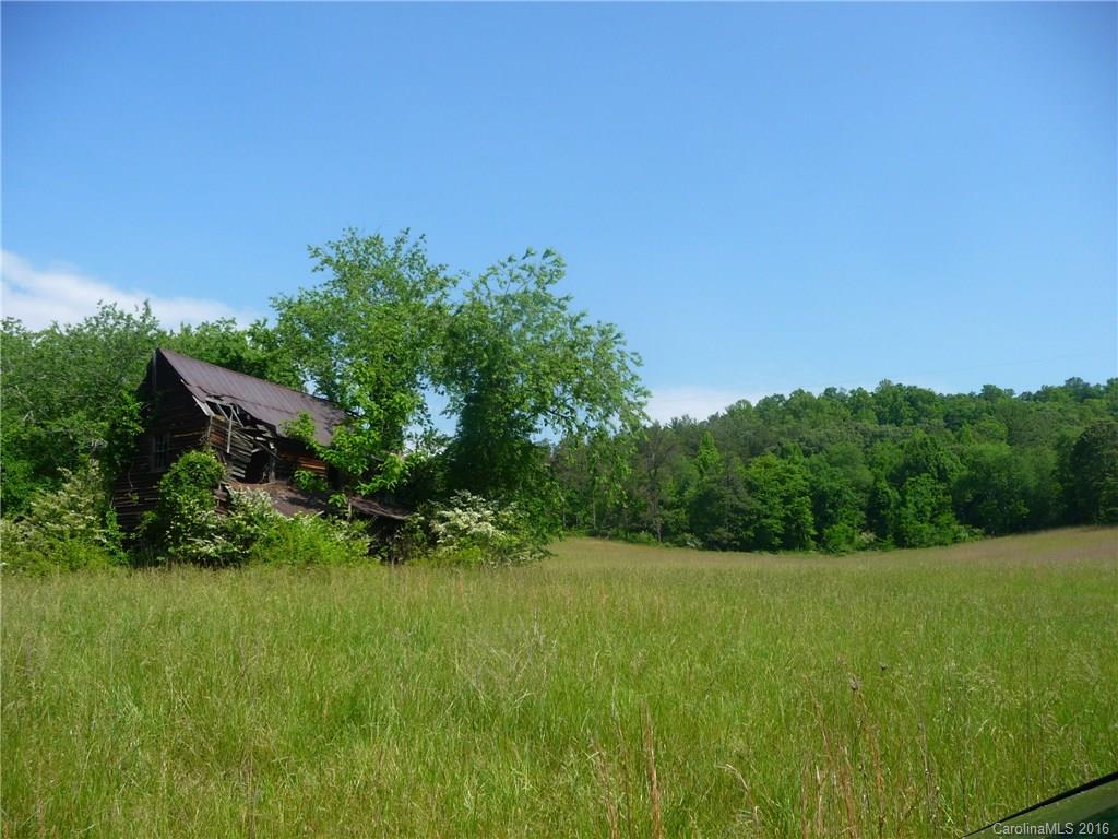 0 Jones Patton Road Leicester, NC 28748 - Photo 13 of 17