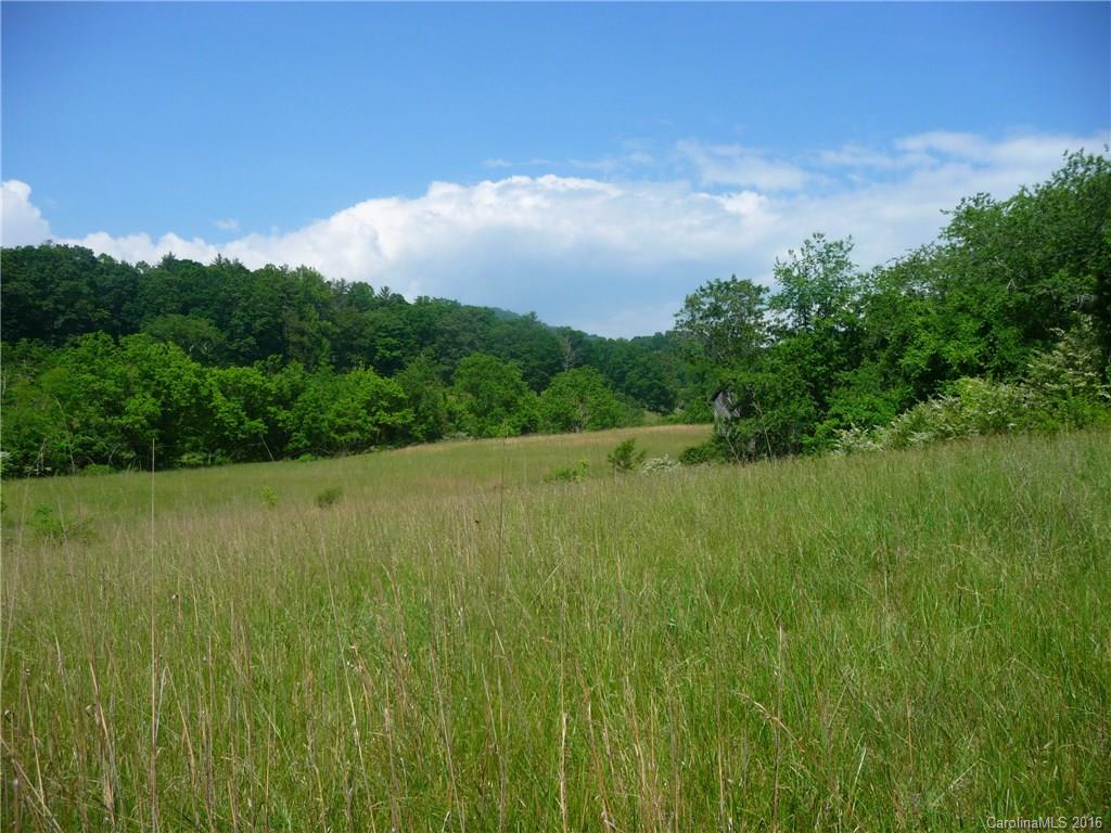 0 Jones Patton Road Leicester, NC 28748 - Photo 14 of 17