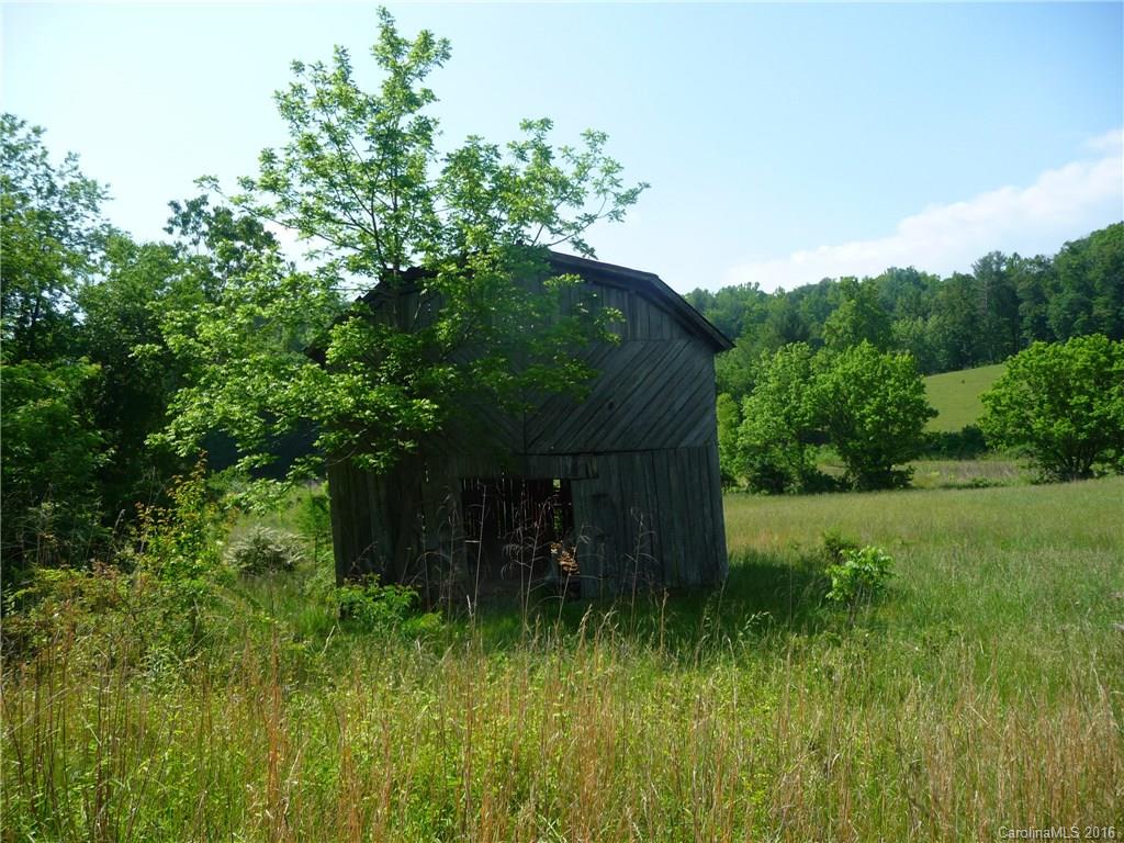0 Jones Patton Road Leicester, NC 28748 - Photo 15 of 17