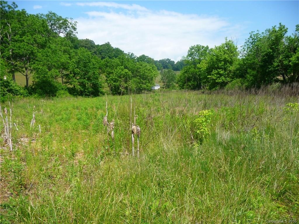 0 Jones Patton Road Leicester, NC 28748 - Photo 16 of 17