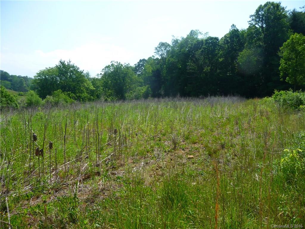 0 Jones Patton Road Leicester, NC 28748 - Photo 17 of 17