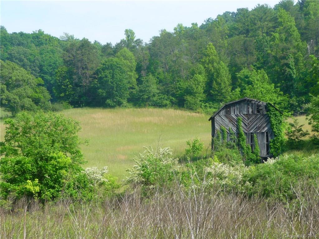 0 Jones Patton Road Leicester, NC 28748 - Photo 3 of 17