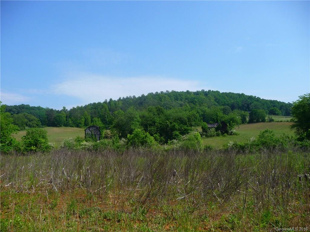 0 Jones Patton Road Leicester, NC 28748 - Photo 5 of 17