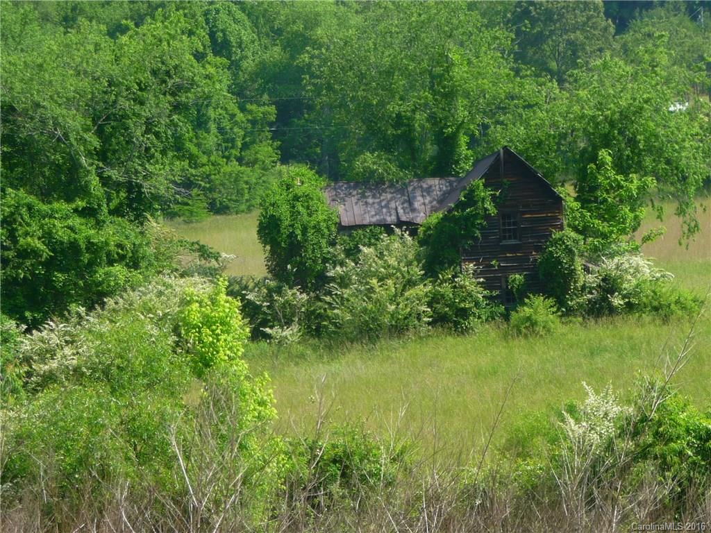0 Jones Patton Road Leicester, NC 28748 - Photo 6 of 17