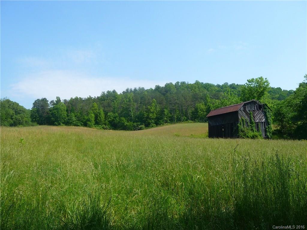 0 Jones Patton Road Leicester, NC 28748 - Photo 8 of 17
