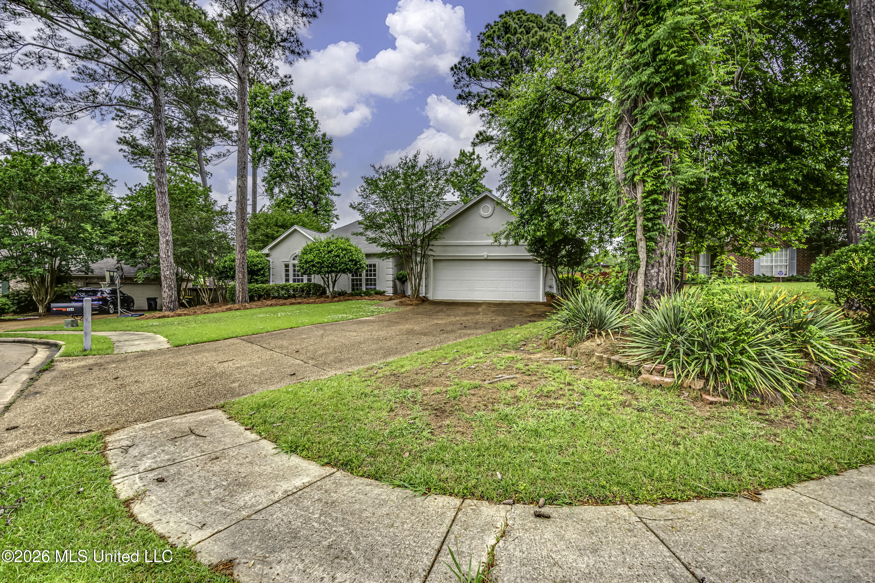 304 Beech Cove Ridgeland, MS 39157 - Photo 4 of 50 304 Beech Cv--59