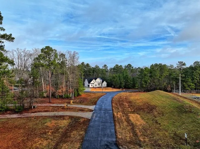 a view of flowing water with large tree in front of it