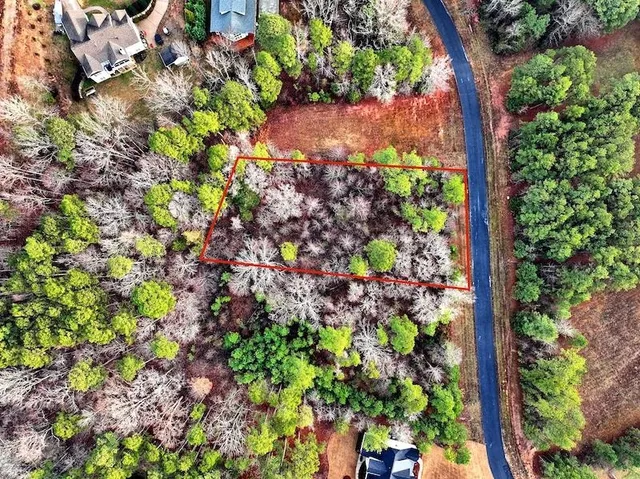 a view of a lake with mountains in the background