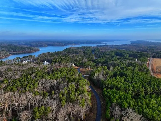 a view of a garden with a tree
