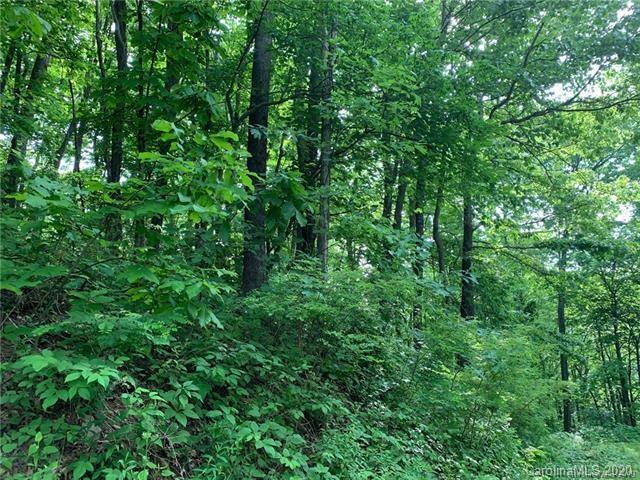 44 Dorchester Road Waynesville, NC 28785 - Photo 1 of 4 Gallery Image 1