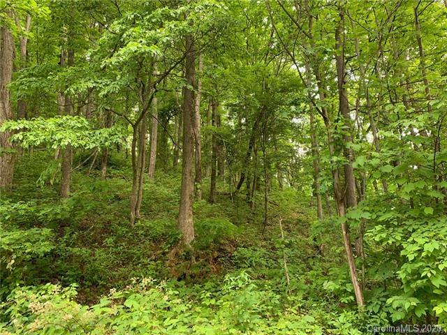 44 Dorchester Road Waynesville, NC 28785 - Photo 4 of 4 Gallery Image 4