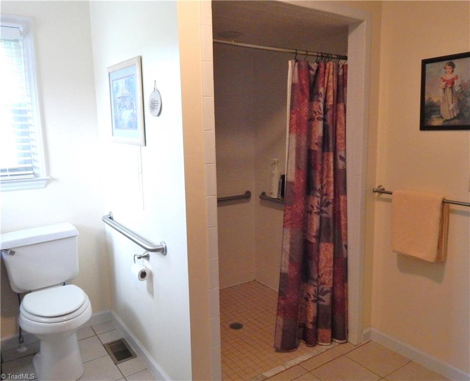 2103 Collinstown Road Westfield, NC 27053 - Photo 12 of 30 Bath has large shower that is also handicapped accessible!