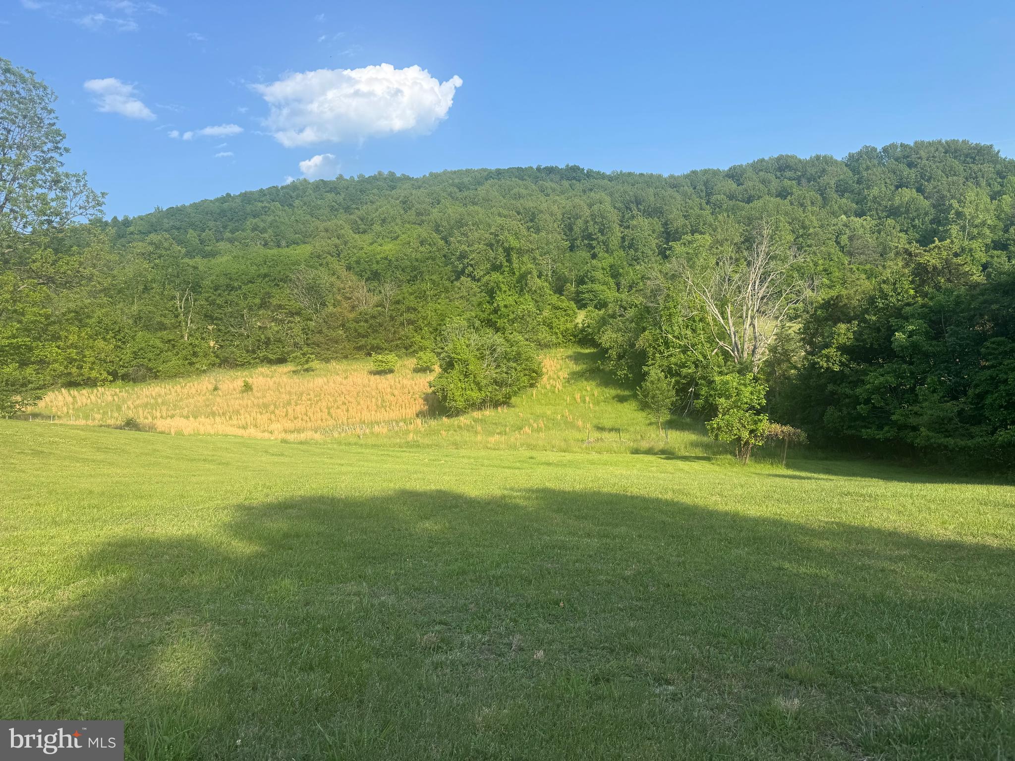 20448 Mt Pleasant Road Elkton, VA 22827 - Photo 2 of 3 a view of an ocean from a yard