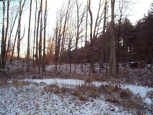 19643 5 Mile Road Reed City, MI 49677 - Photo 4 of 13 Additional Photo
