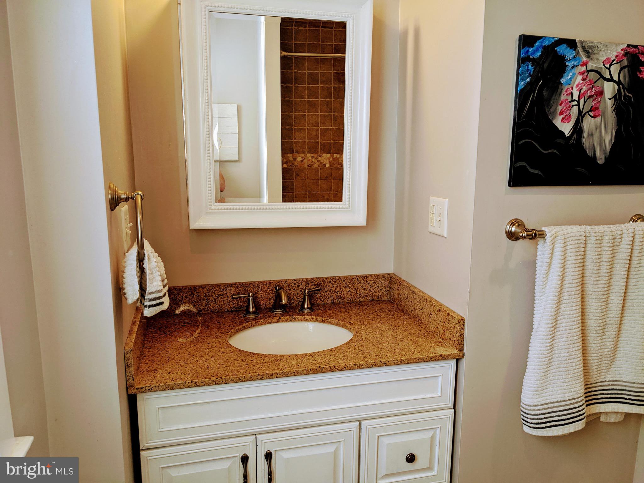 260 Rochelle Avenue Philadelphia, PA 19128 - Photo 12 of 18 2nd Floor Bathroom