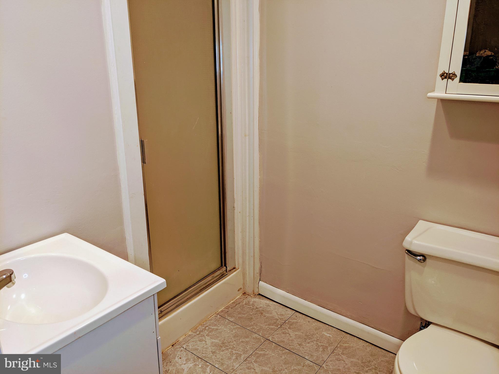 260 Rochelle Avenue Philadelphia, PA 19128 - Photo 13 of 18 Lower Level Bathroom