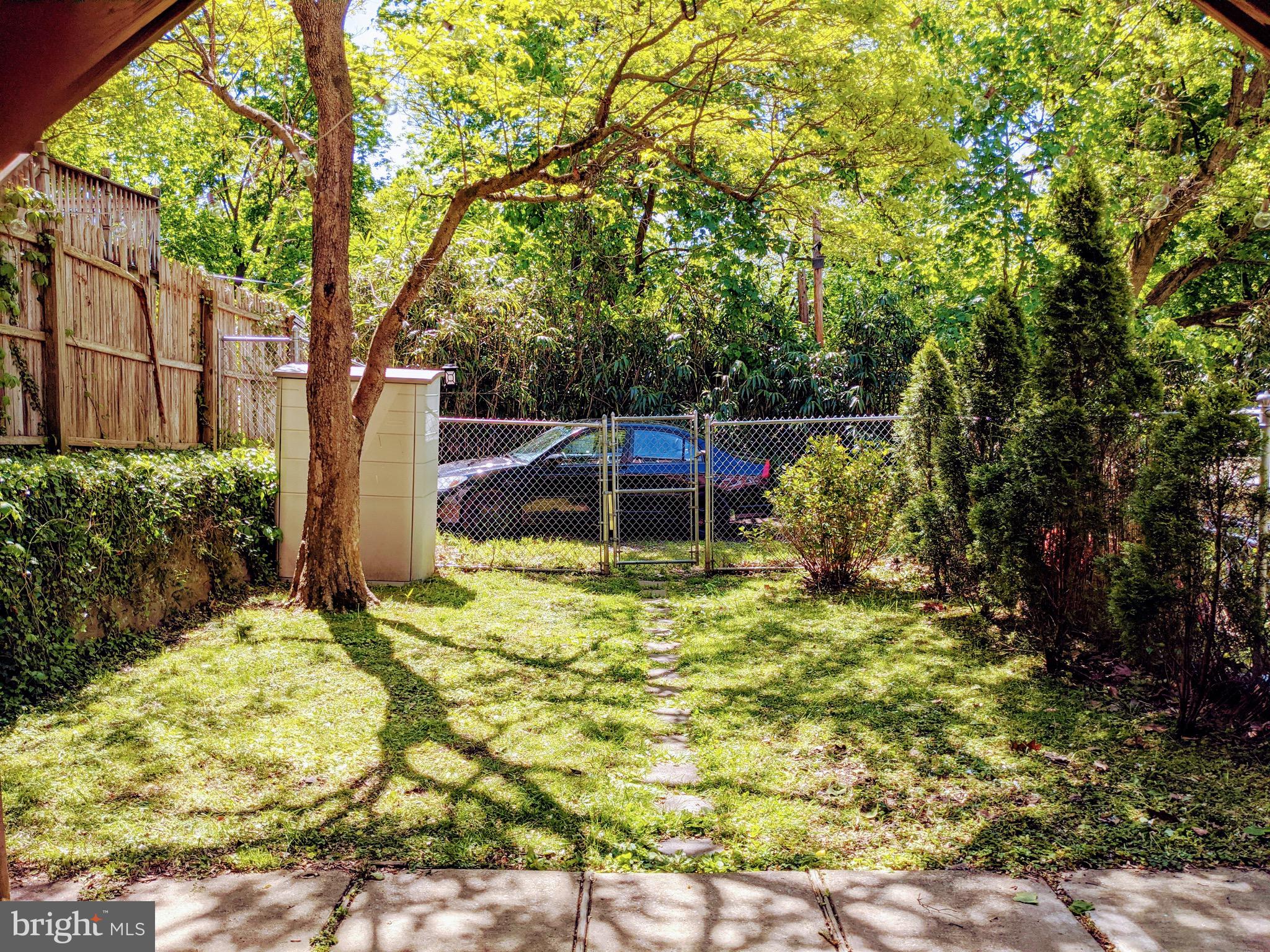 260 Rochelle Avenue Philadelphia, PA 19128 - Photo 15 of 18 Backyard