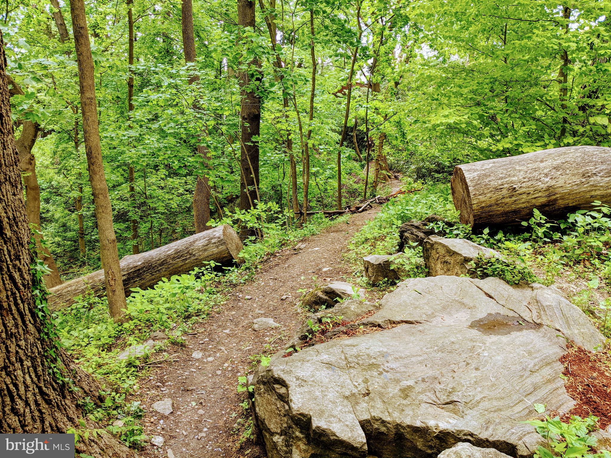 260 Rochelle Avenue Philadelphia, PA 19128 - Photo 17 of 18 Wissahickon Park