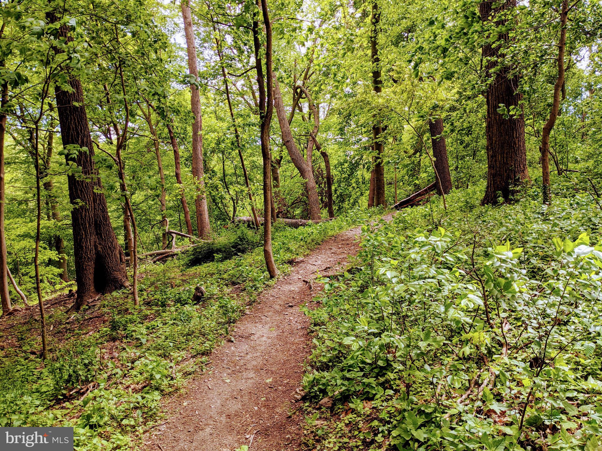 260 Rochelle Avenue Philadelphia, PA 19128 - Photo 18 of 18 Wissahickon Park