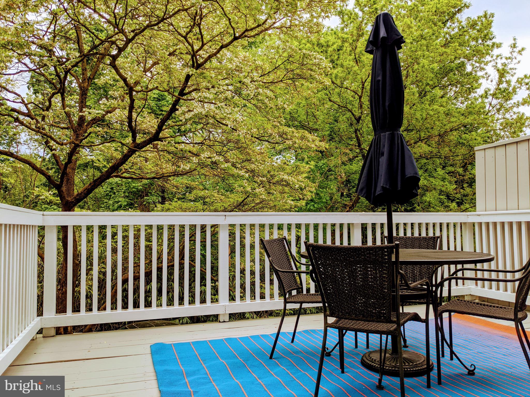 260 Rochelle Avenue Philadelphia, PA 19128 - Photo 7 of 18 Deck