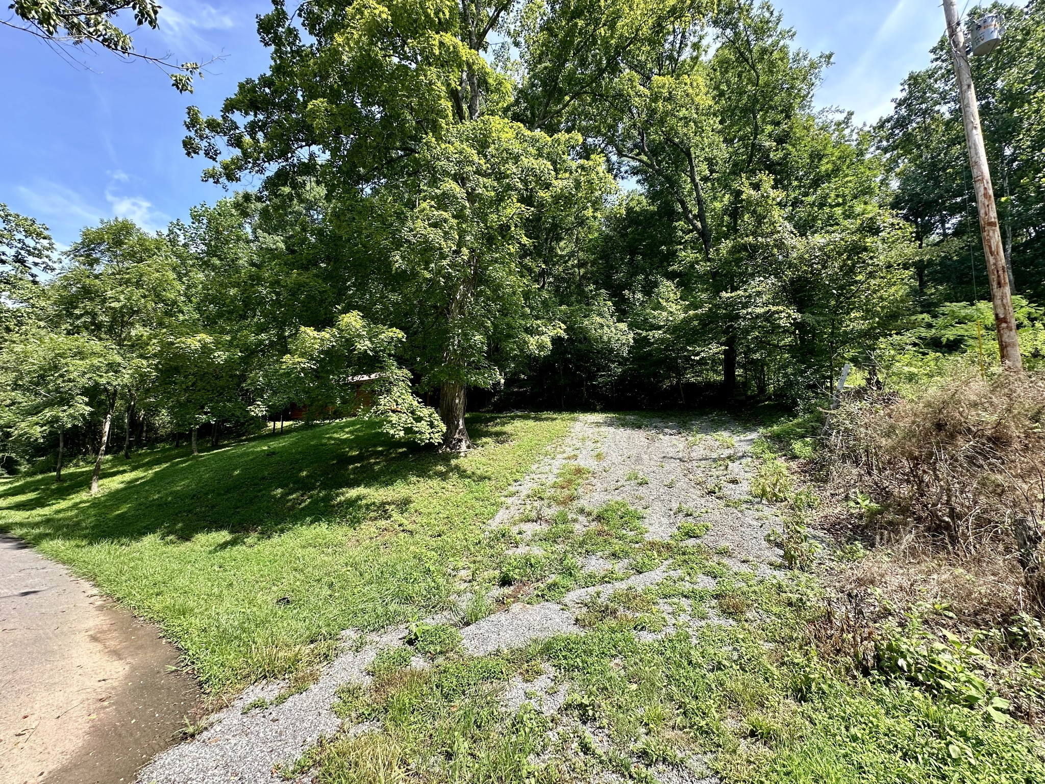 1275 Charles Holt Road Adams, TN 37010 - Photo 3 of 5
