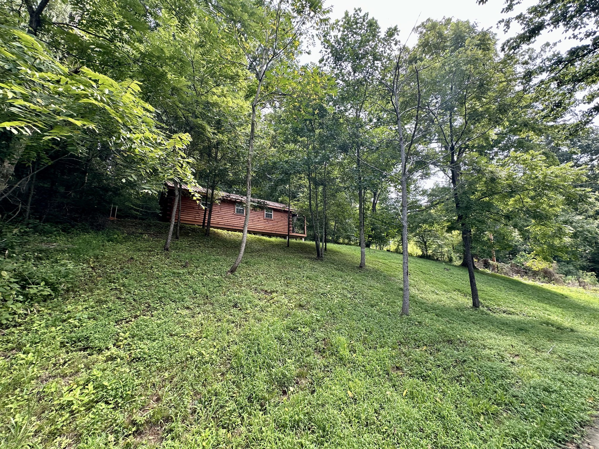 1275 Charles Holt Road Adams, TN 37010 - Photo 5 of 5