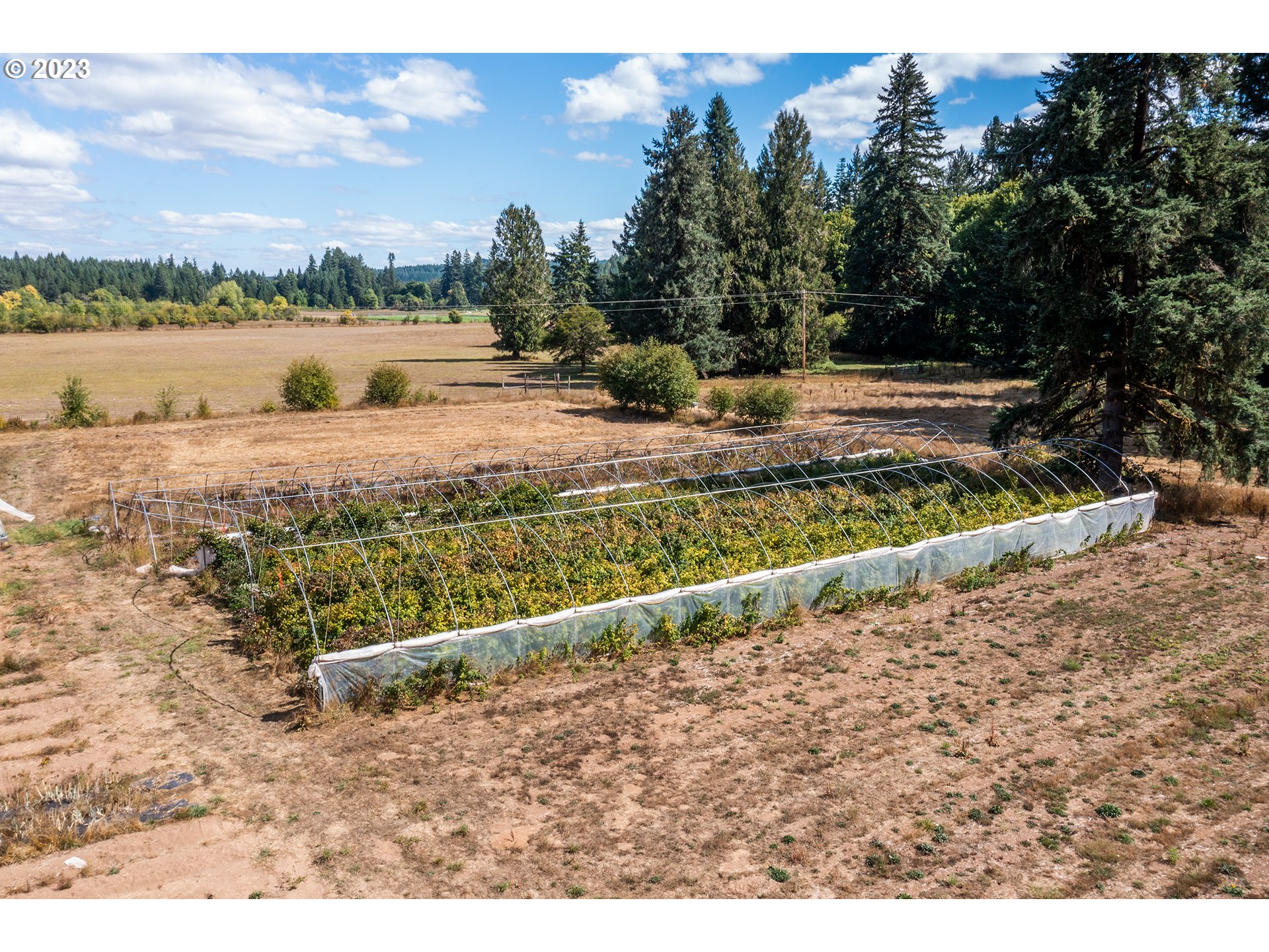 90609 Poodle Creek Road Noti, OR 97461 - Photo 11 of 36 Gallery Image 11