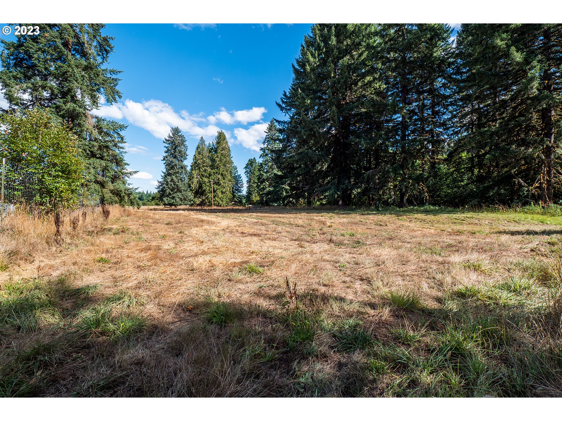 90609 Poodle Creek Road Noti, OR 97461 - Photo 23 of 36 Gallery Image 23