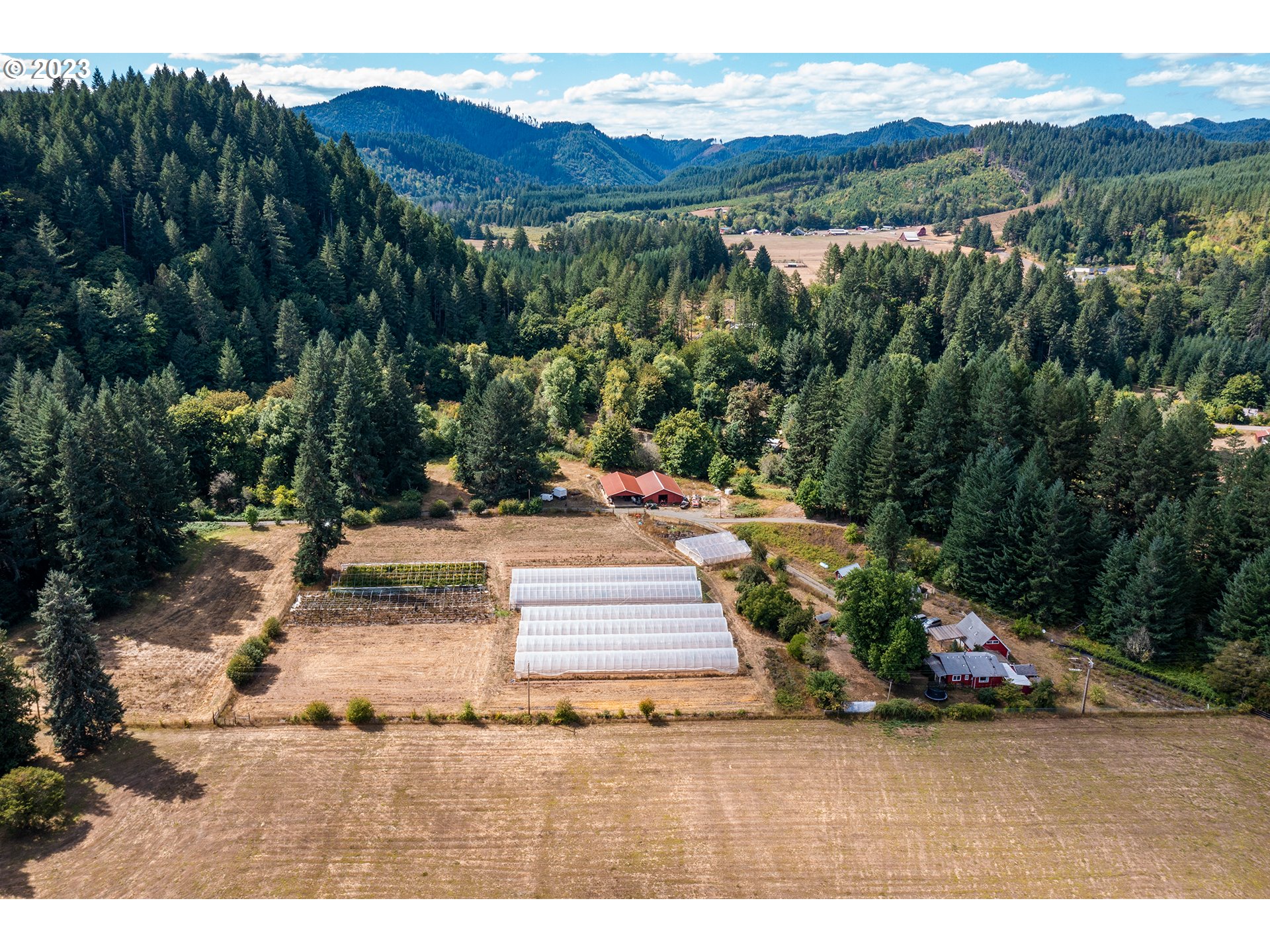 90609 Poodle Creek Road Noti, OR 97461 - Photo 6 of 36 Gallery Image 6