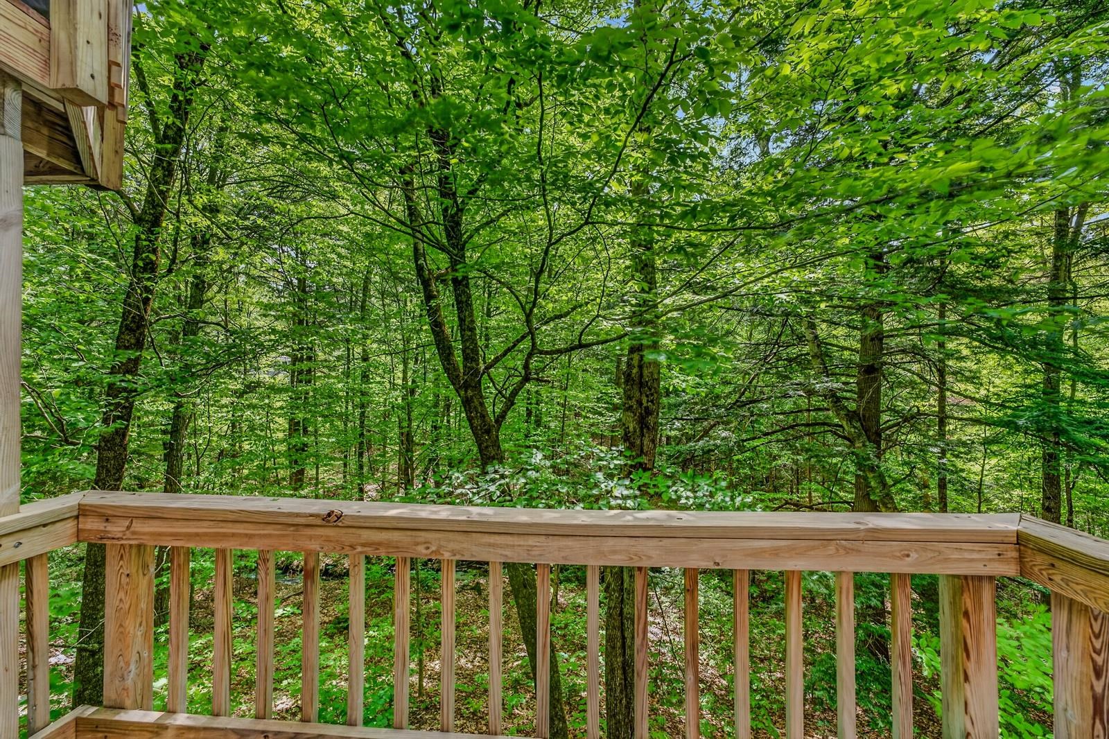 146 Bell Valley Road Campton, NH 03223 - Photo 24 of 47