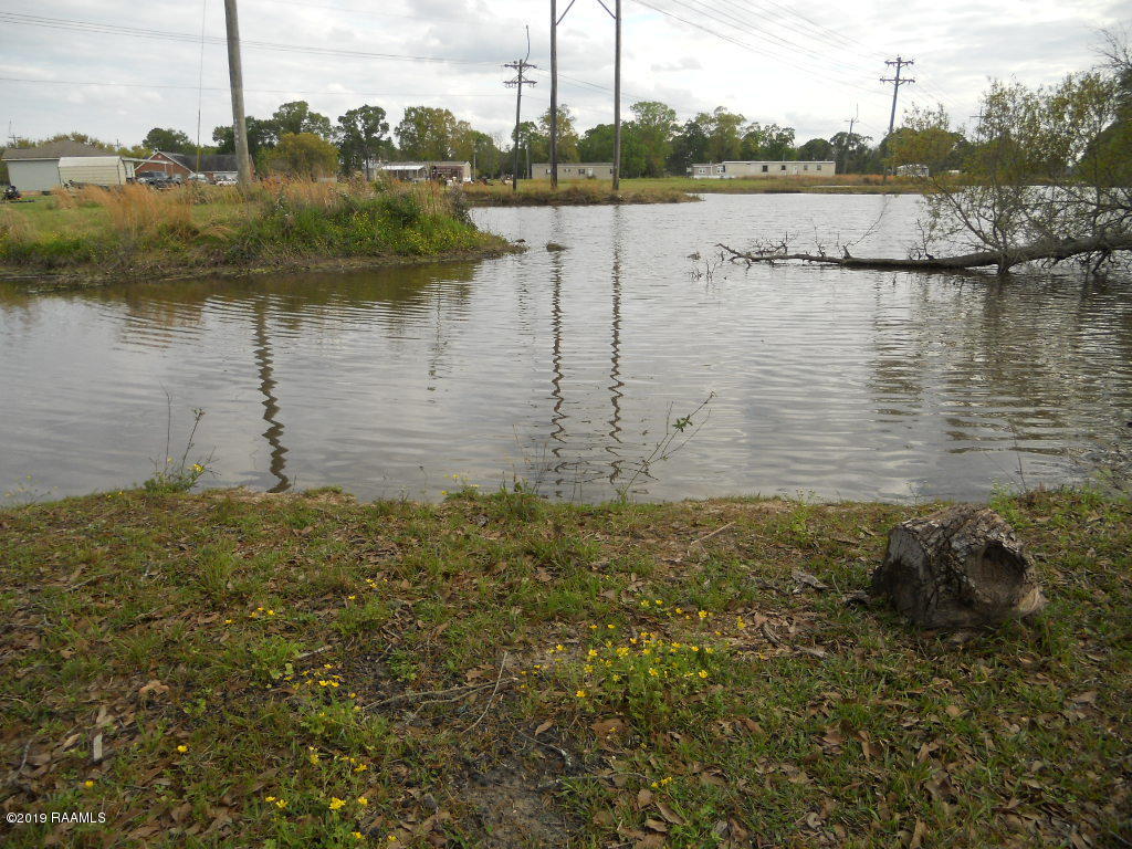 123 Blue Grass Road Washington, LA 70589 - Photo 19 of 20 pond