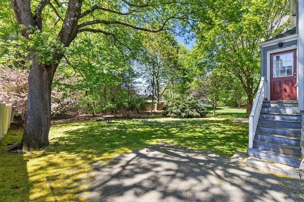 403-405 Reedsdale Road Milton, MA 02186 - Photo 14 of 21 a view of a yard with plants and large trees