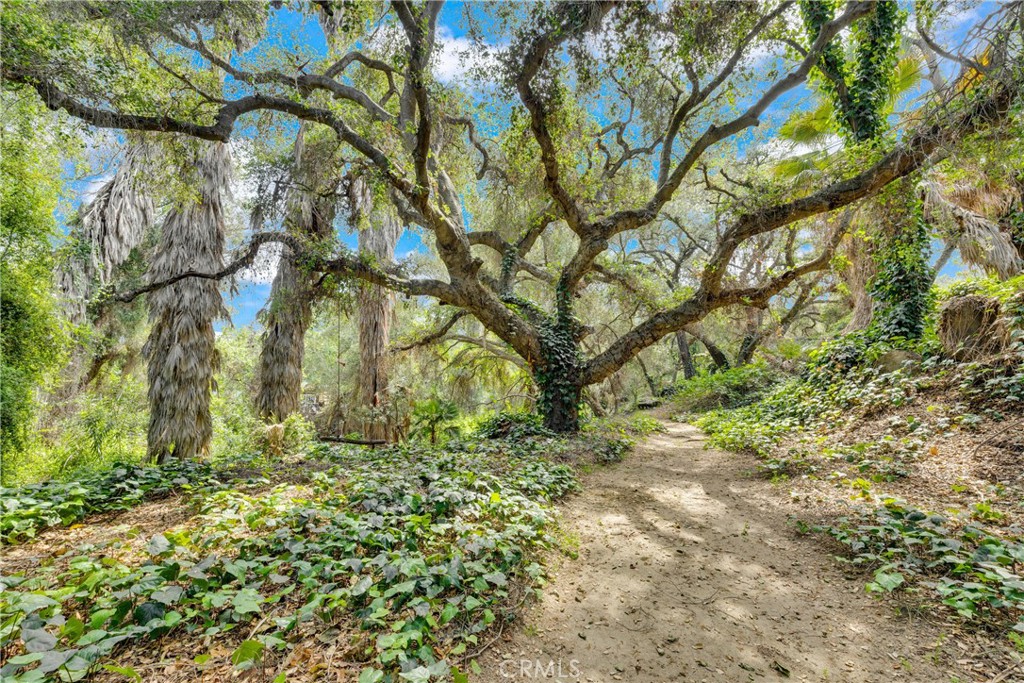 3013 Olive Hill Road Fallbrook, CA 92028 - Photo 73 of 75