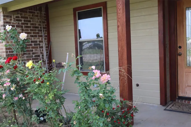 a view of a potted plant in front of a door