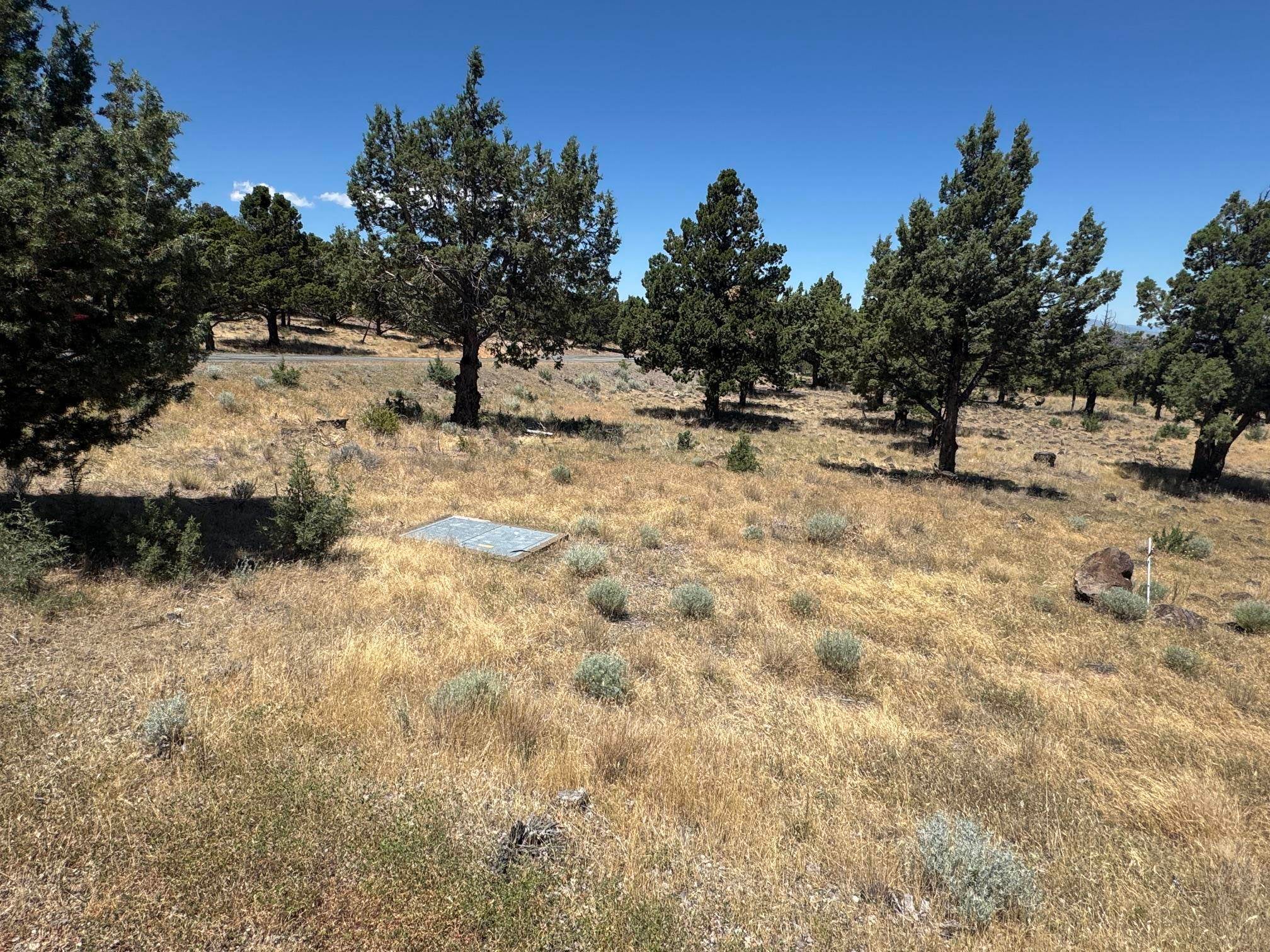 9-2 U Ridge Weed, CA 96094 - Photo 5 of 41 Gallery Image 5