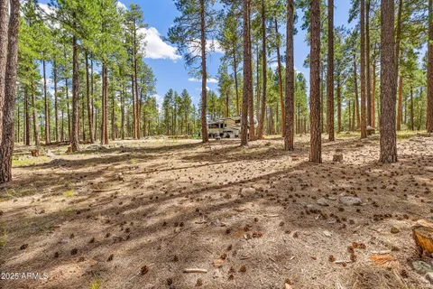 $3,295,000 | 3456 Laurie Lane, Unit 9, Flagstaff, AZ 86005