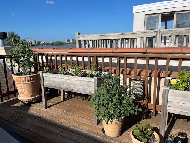1473 West Irving Park Road, Unit 4E Chicago, IL 60613 - Photo 35 of 44 a view of a balcony with chairs and wooden floor