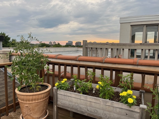 1473 West Irving Park Road, Unit 4E Chicago, IL 60613 - Photo 37 of 44 a outdoor view with a seating space