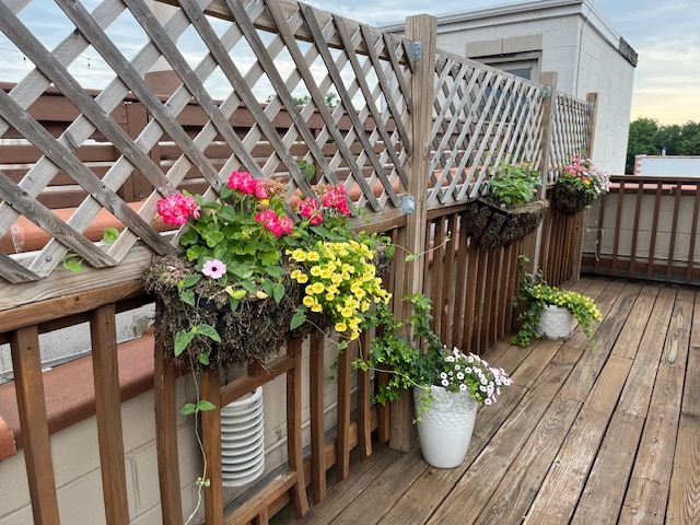 1473 West Irving Park Road, Unit 4E Chicago, IL 60613 - Photo 38 of 44 a flower pot with wooden fence
