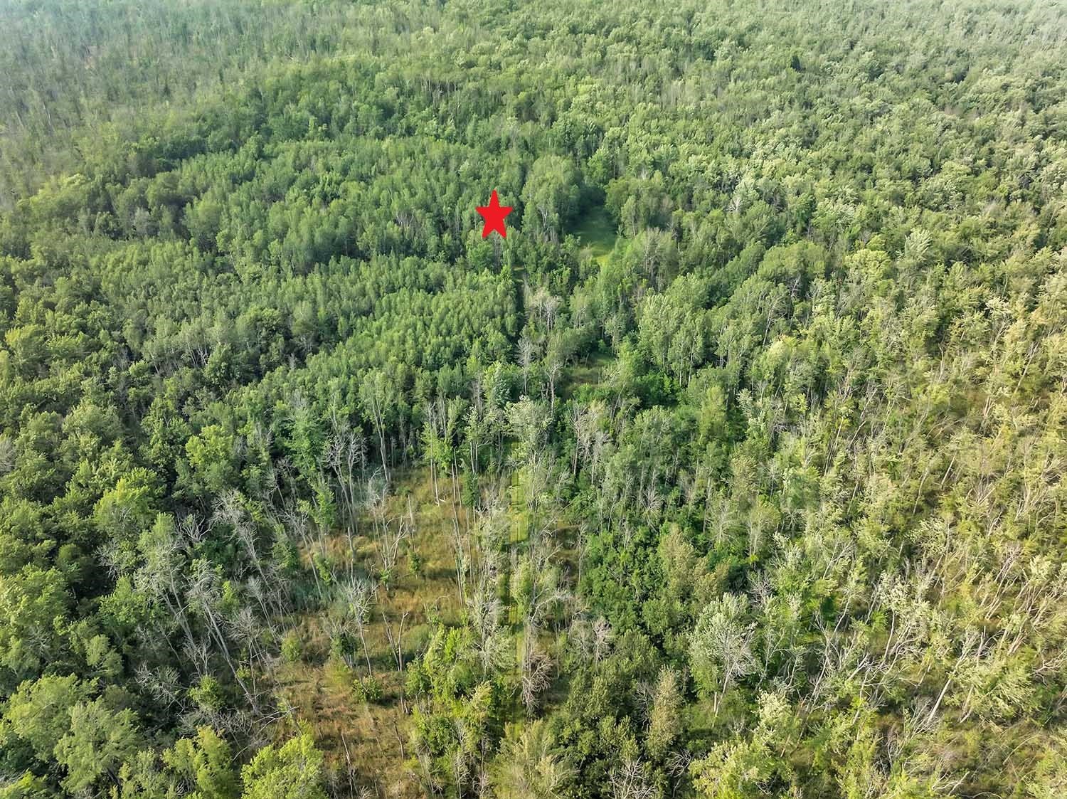 Wilson Road, Unit 160A Algoma, WI 54201 - Photo 7 of 9