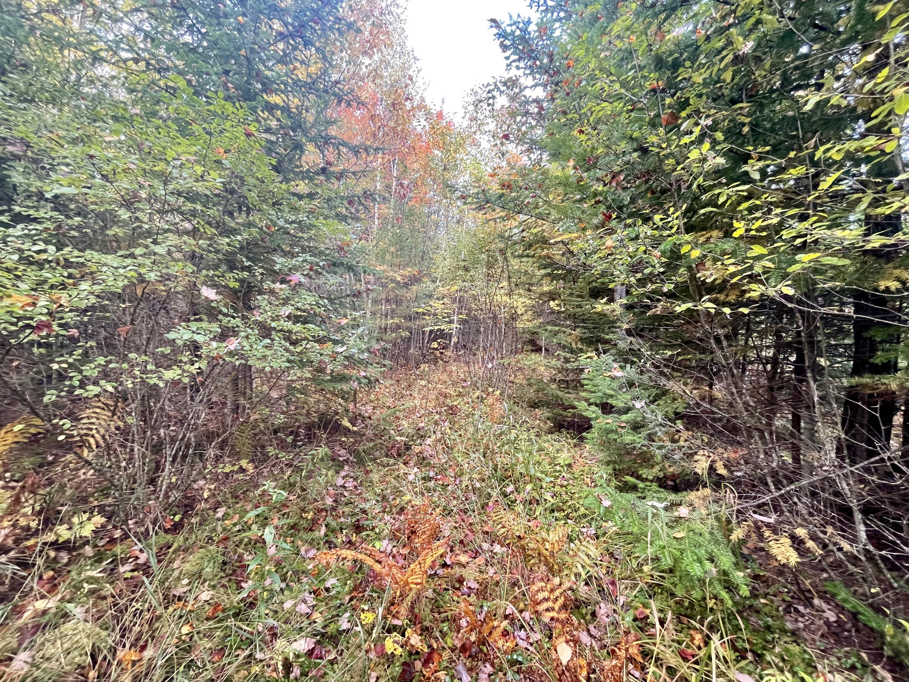 Lot 46 Heights Road Stockton Springs, ME 04981 - Photo 4 of 5 fullsizeoutput_67b