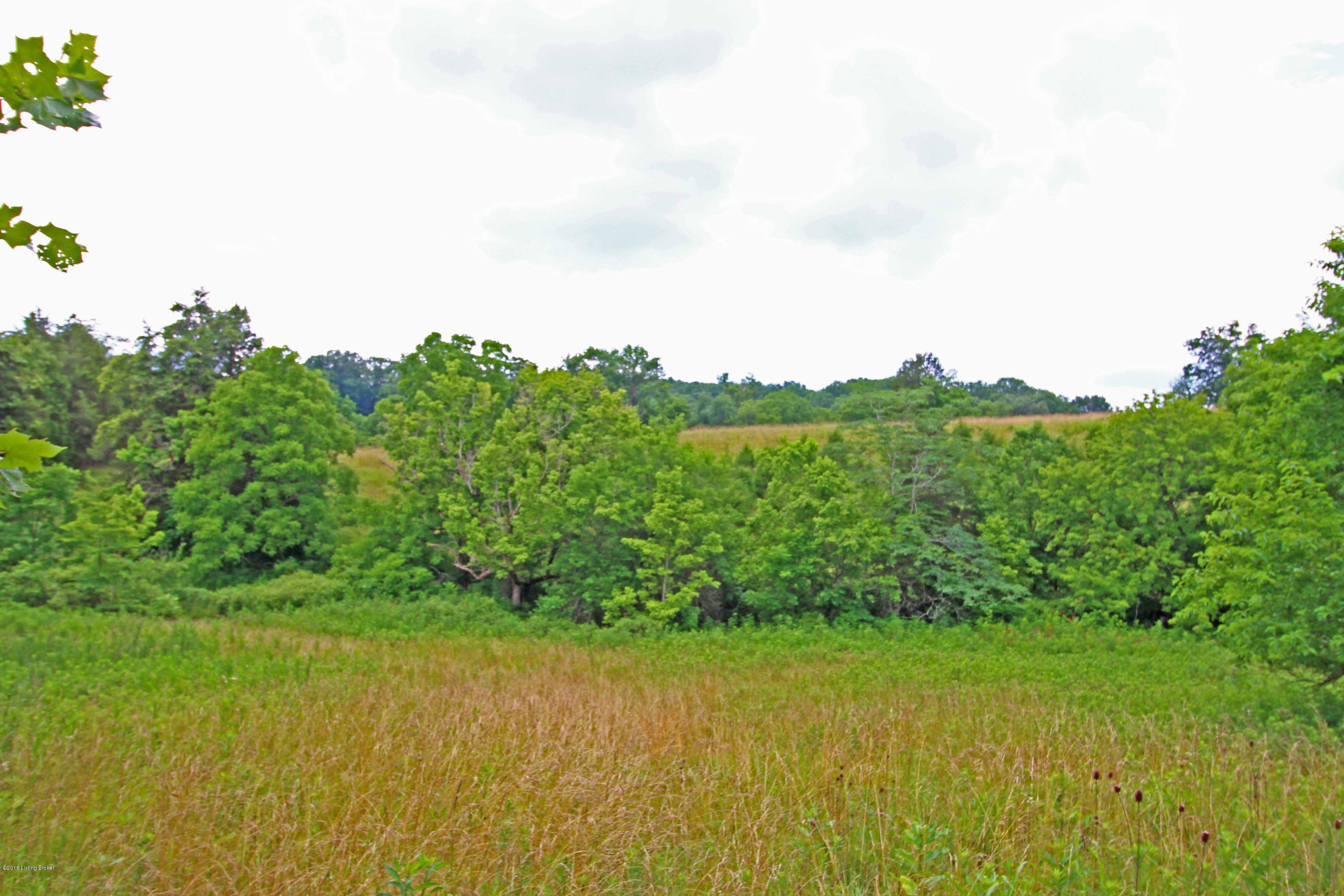 3900 Mink Run Road Frankfort, KY 40601 - Photo 10 of 10 View of Property