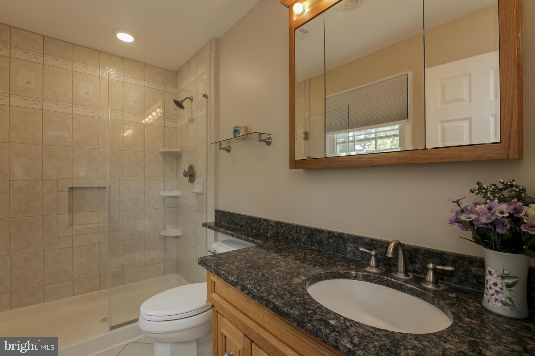 1111 Peachtree Road Fallston, MD 21047 - Photo 20 of 30 a bathroom with a granite countertop sink toilet a mirror and shower