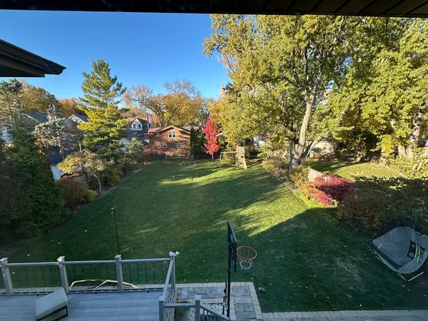 a view of a bench in the garden