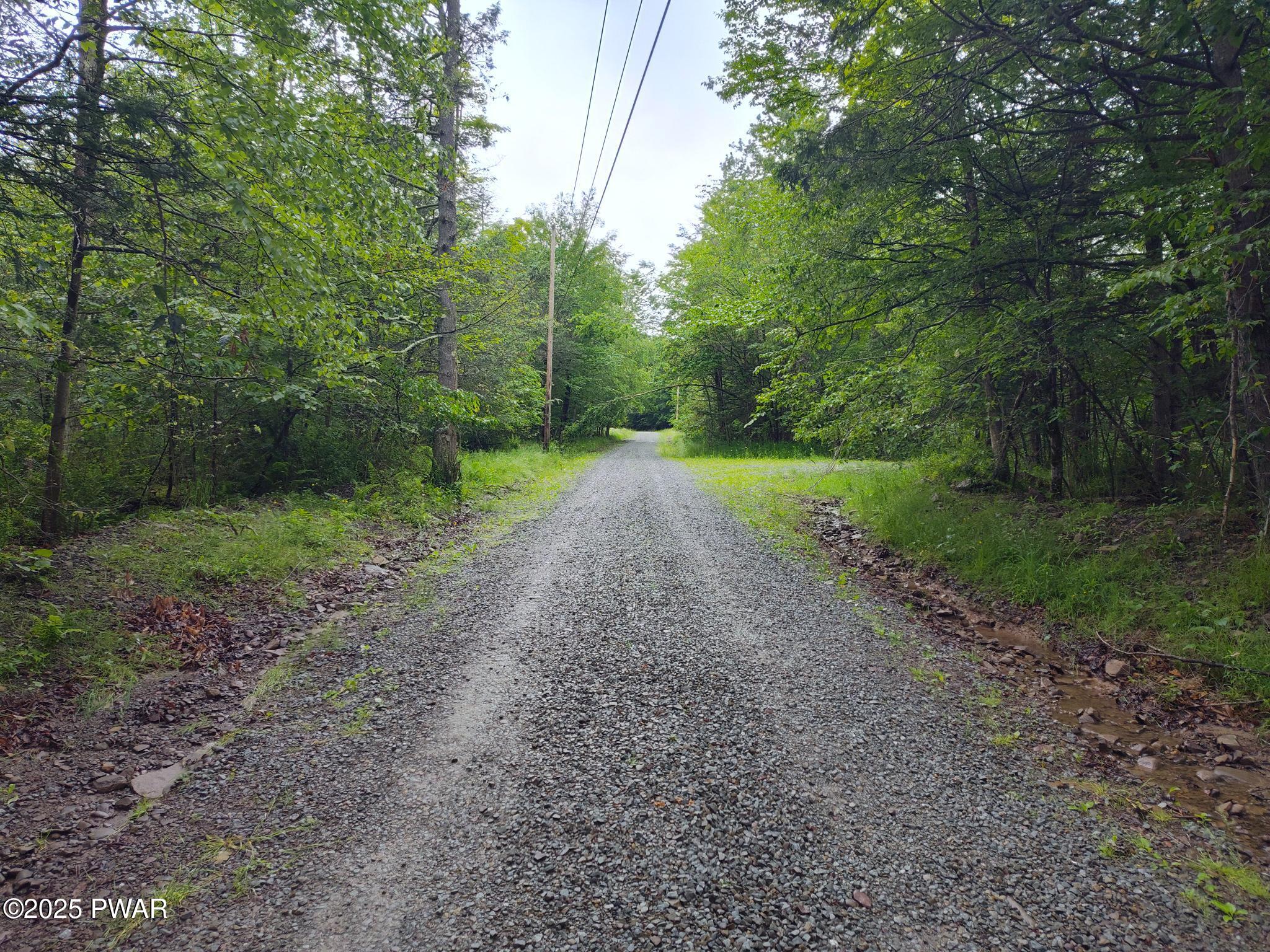 Lot 109 Aka) Gibralter Road Newfoundland, PA 18445 - Photo 2 of 19
