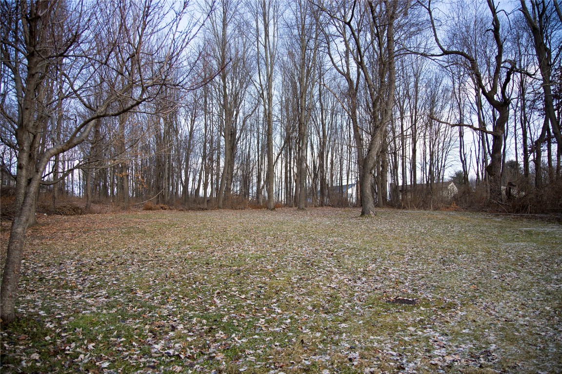 64 Coventry Road Endicott, NY 13760 - Photo 38 of 42 Gallery Image 38