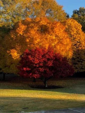 $450,000 | 384 Rack Road, Lawrenceville, GA 30044