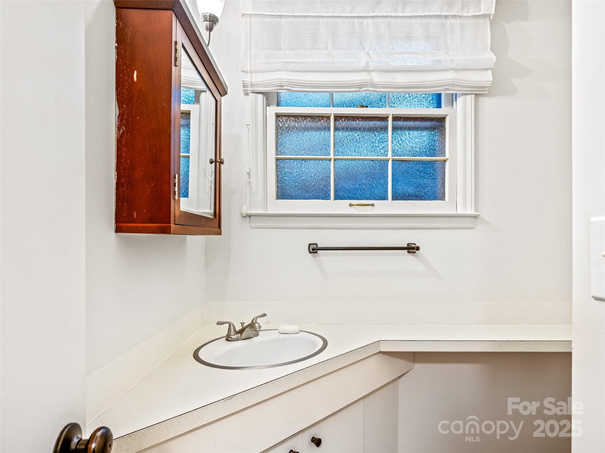 112 Top Of The Mountain Road Hendersonville, NC 28739 - Photo 18 of 28 a bathroom with a sink and a mirror