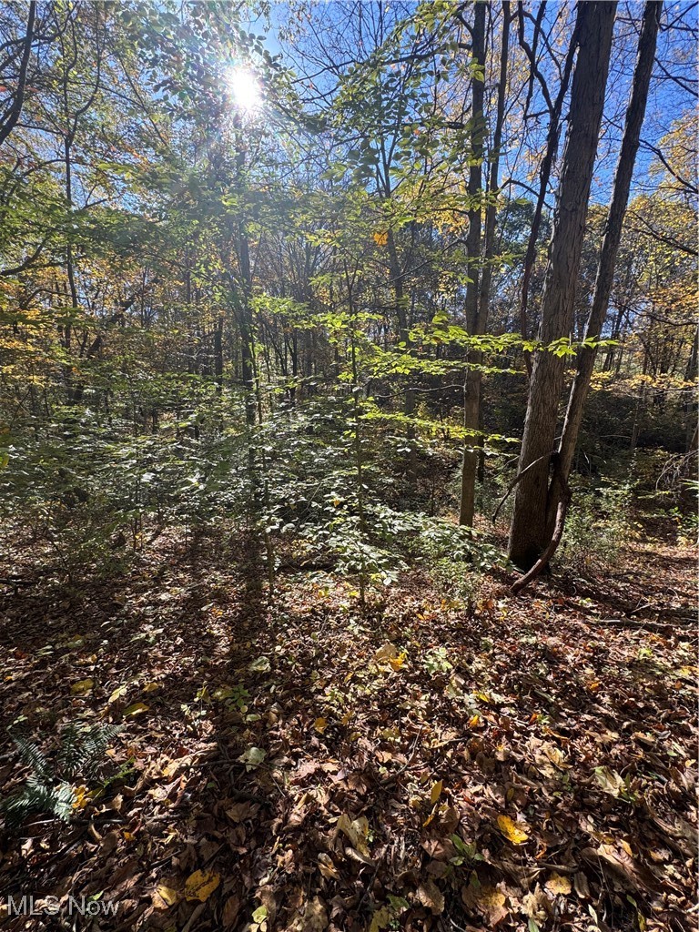 F B Eye Road Blue Rock, OH 43720 - Photo 28 of 41 View of undeveloped land