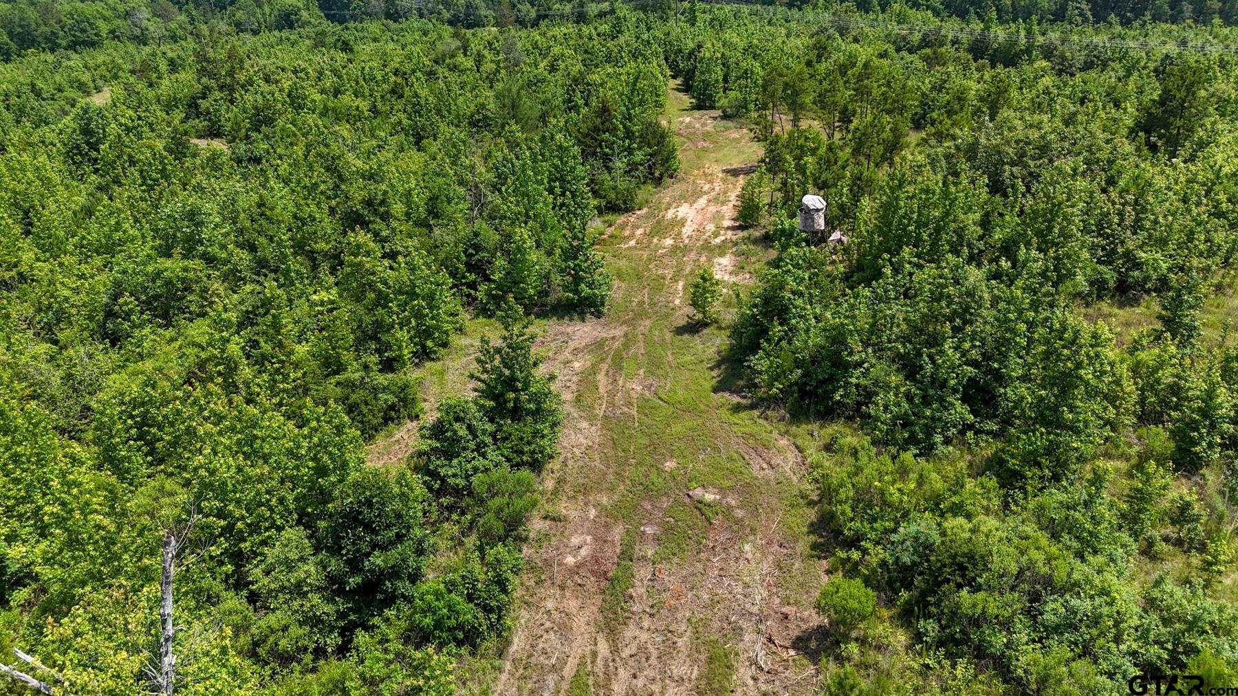 0 Avinger Cut Off Road Avinger, TX 75630 - Photo 20 of 48